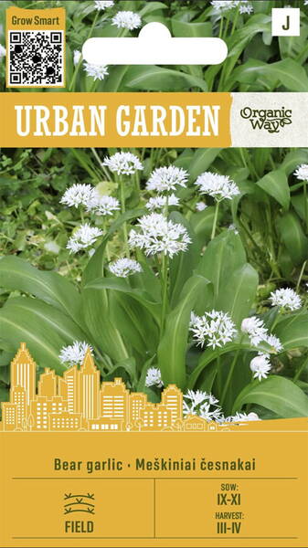 Черемша (Медвежий лук) 